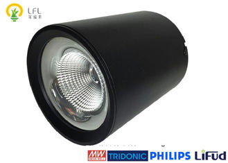Sistema de iluminação LED exterior de poupança de energia de longa duração com 2*24 chips Epistar LED